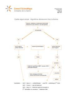 cystite-algorithme.doc